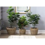 Lined Plant Baskets - Set of 3